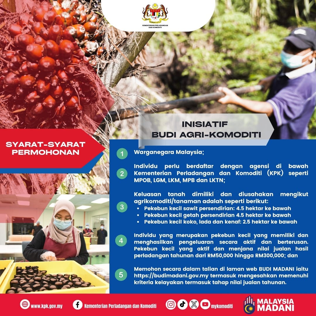 464111019 986758039921922 6062625343317755153 n